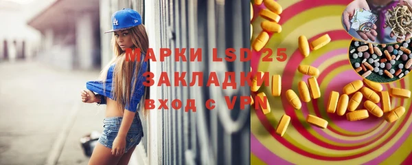 гашик Заводоуковск