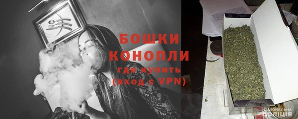 гашик Заводоуковск