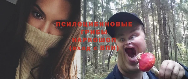 гашик Заводоуковск