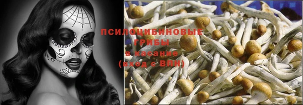 гашик Заводоуковск